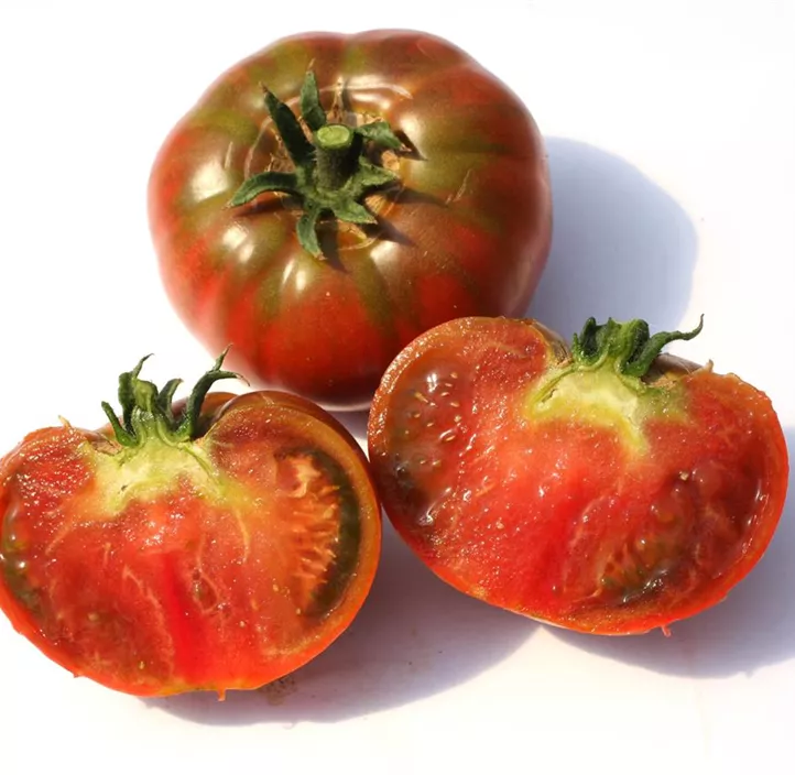 Tomate 'Black Russian'