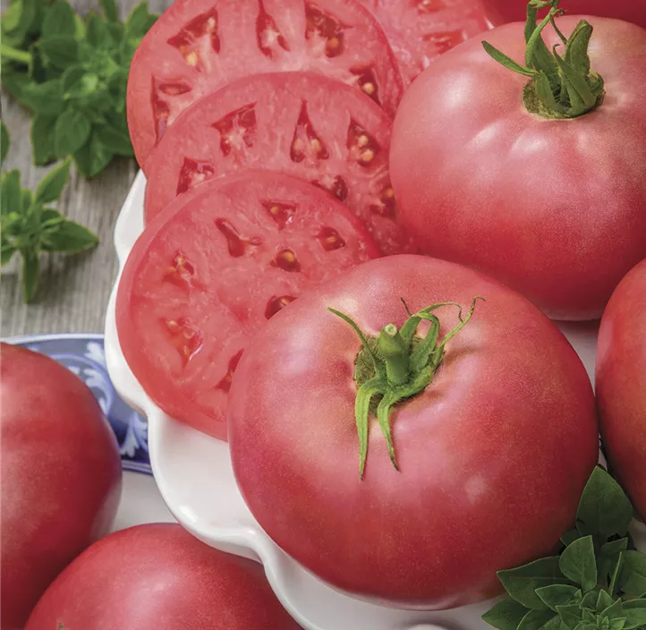 Fleischtomate 'Rose Crush'