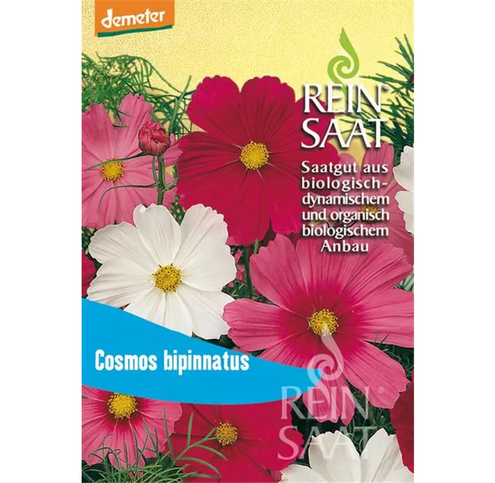 Cosmea Schmuckkörbchen