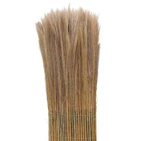 Farnwedel-Verkleidung California