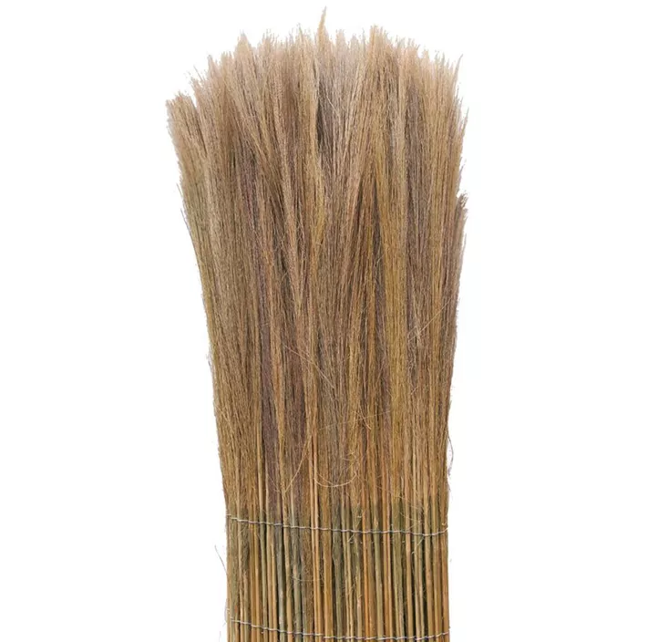 Farnwedel-Verkleidung California