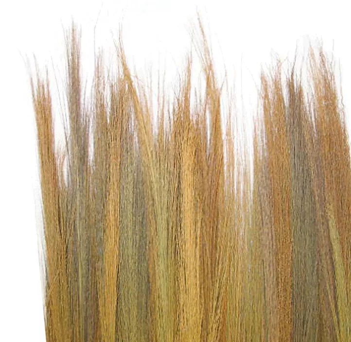 Farnwedel-Verkleidung California