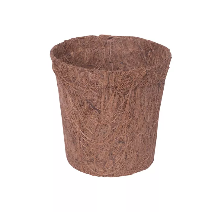 Anzucht Topf Kokos rund