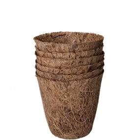 Anzucht Töpfe Kokos rund