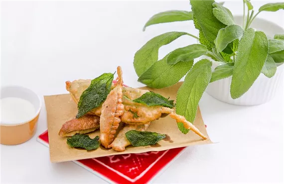 Elefantenohr Salbei_mmg-design-233.jpg