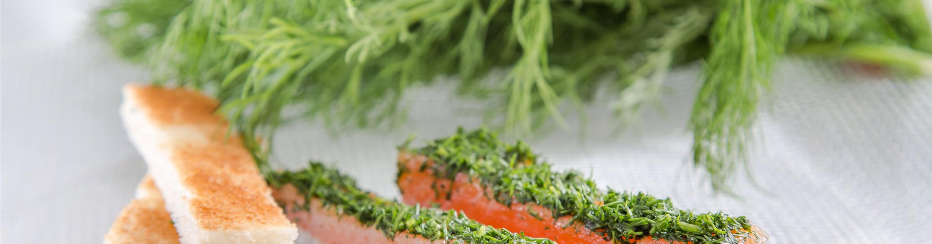 Gebeizte Lachsforelle mit Dill