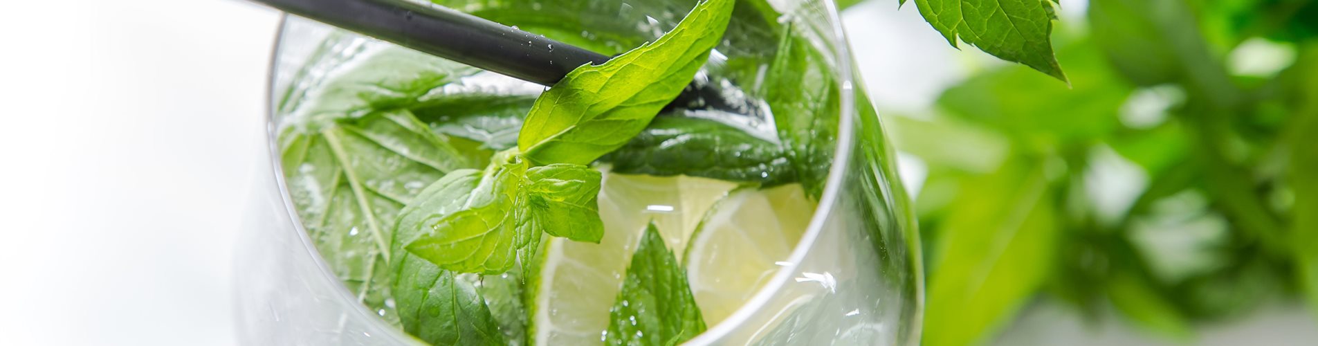 BF_Kraeuter_Gericht_mmg-design-369-0-570-5472-3078