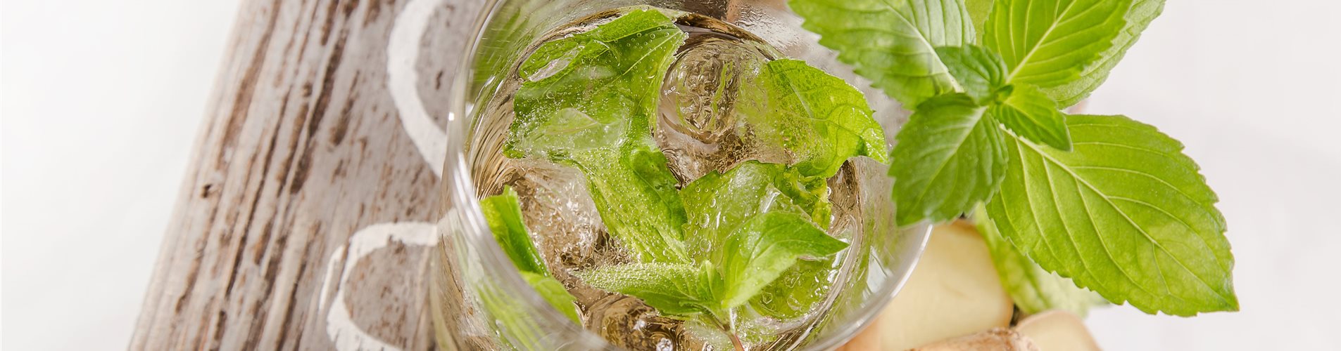 Ingwerminze_mmg-design-238-0-283-5472-3078