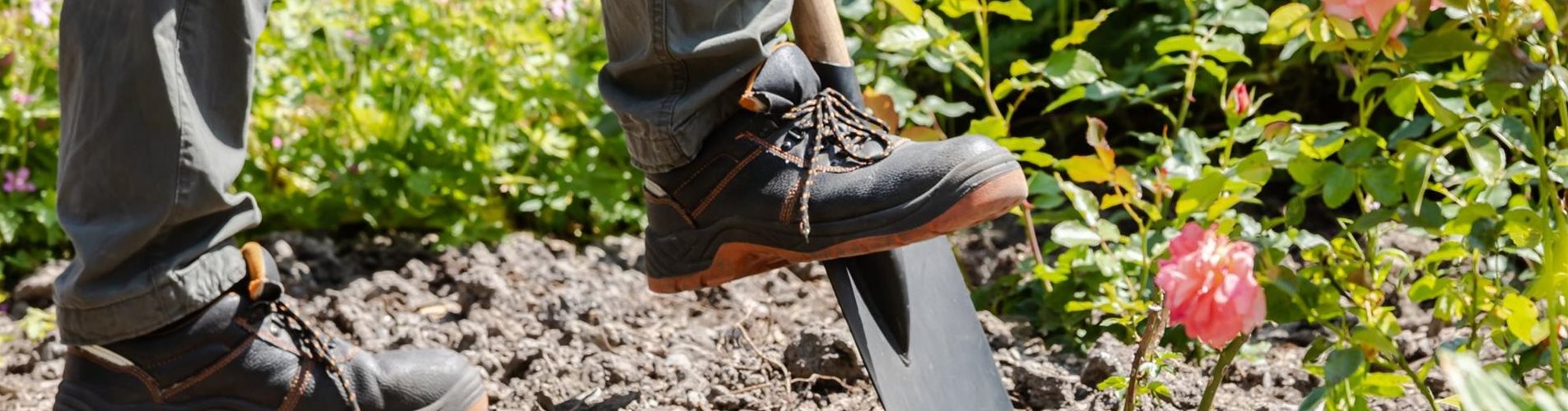 GS666866_Mann bei der Gartenarbeit_-259-925-1972-1314