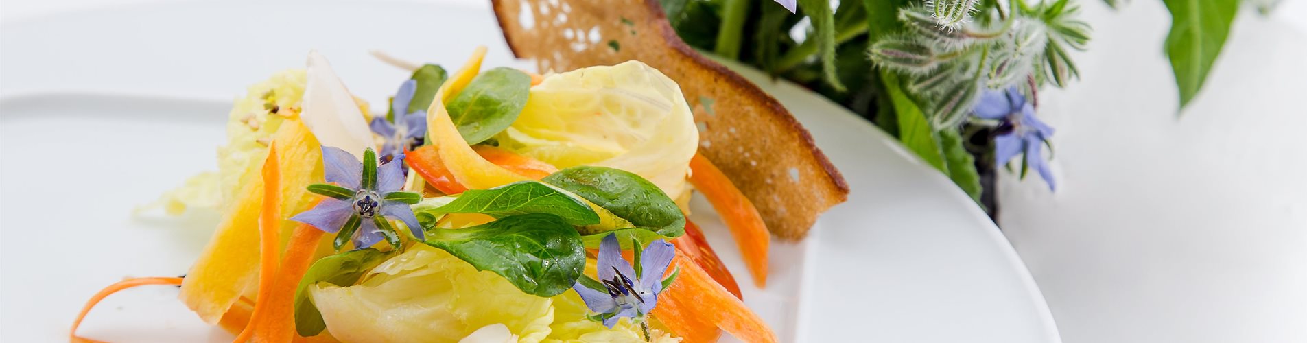 Borretsch_mmg-design-237-0-570-5472-3078