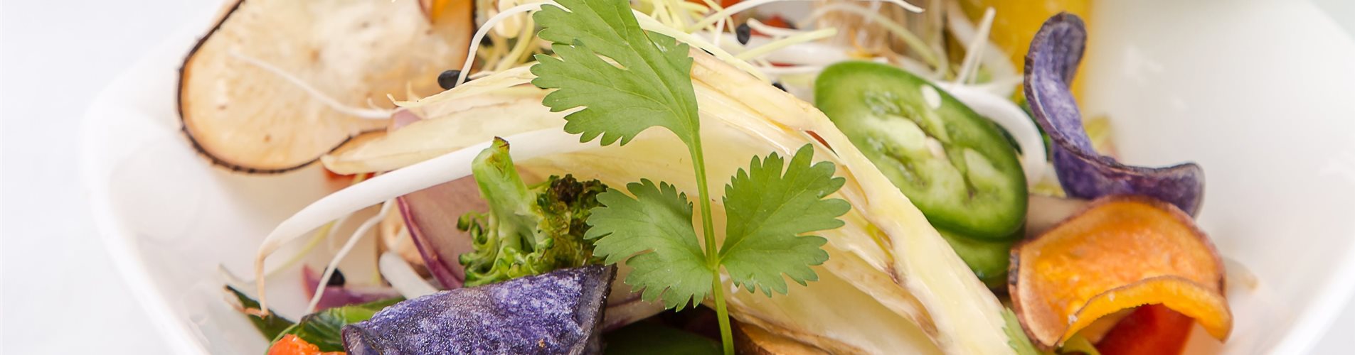 Koreander_mmg-design-150-0-2582-3648-2052