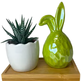 Arrangement Pearl Bunny I