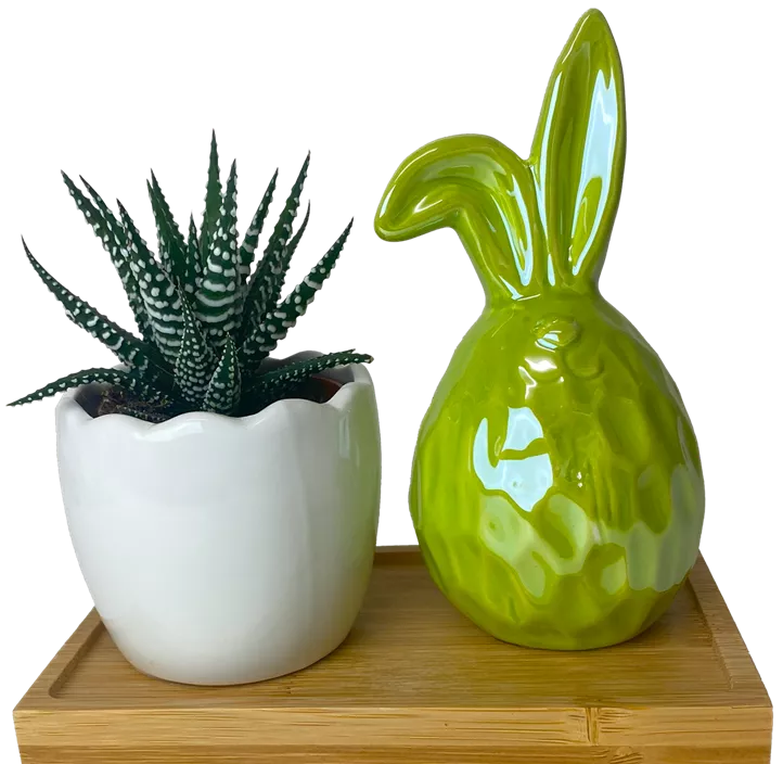 Arrangement Pearl Bunny I