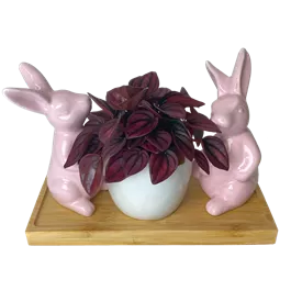 Arrangement Pearl Bunny II