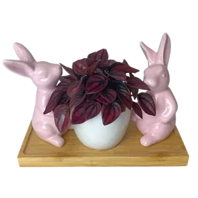 Arrangement Pearl Bunny II