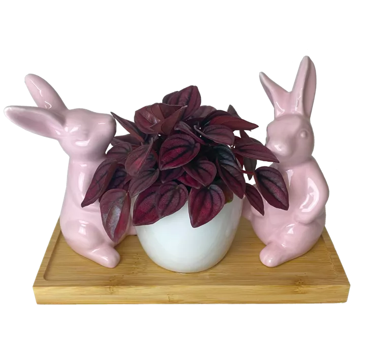 Arrangement Pearl Bunny II