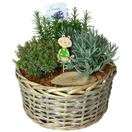 Kräuter-Korb bepflanzt mit verschiedenen Kräutern