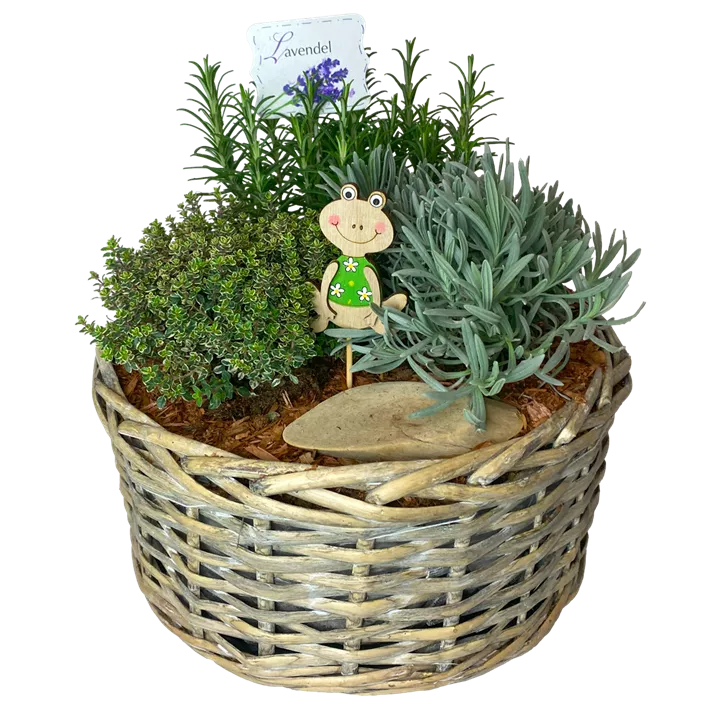 Kräuter-Korb bepflanzt mit verschiedenen Kräutern