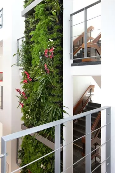 hoher Raumteiler aus grünen Pflanzen