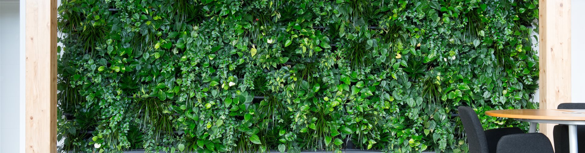 NEXTGEN - Living-Wall-44