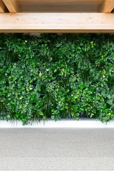 Meetingraum mit einer großen Grünpflanzenwand