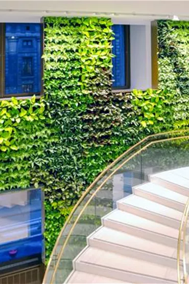 Stiegenhaus mit kompletter Wand aus Grünbepflanzung