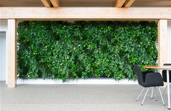grüne Pflanzen Wand in einem Meeting Raum
