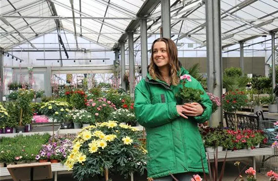 Services Einpflanzservice vor ort