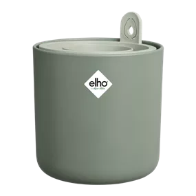 Anzuchttopf für Avocados