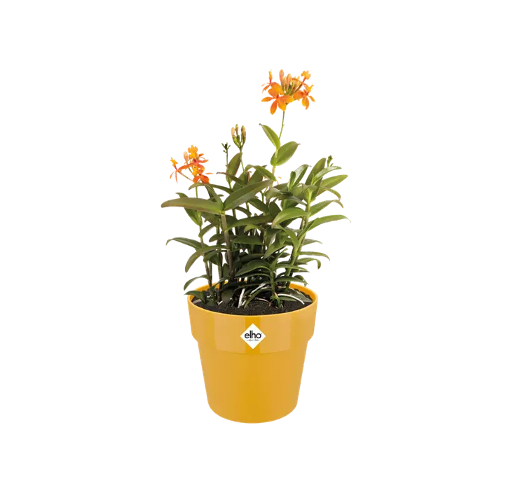 UV - beständig, 100 % Recyclingmaterial