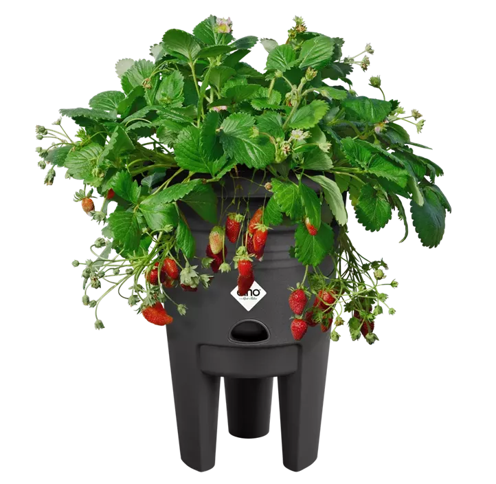 UV - beständig, 100 % Recyclingmaterial