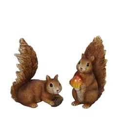 Eichhörnchen Pilz oder Zapfen