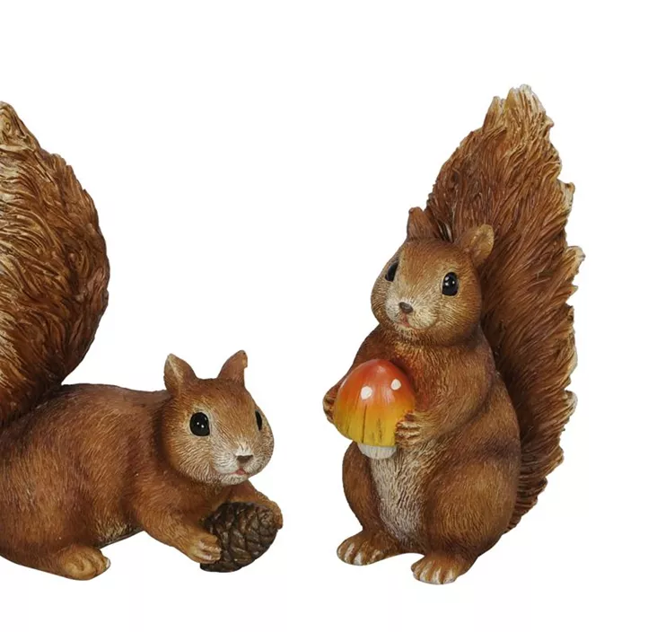 Eichhörnchen Pilz oder Zapfen