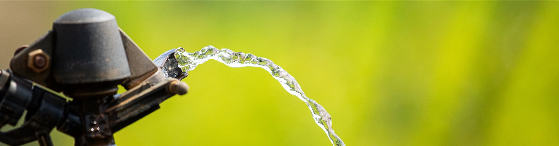 Pflanzenbewässerung