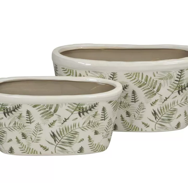 Pflanzschale Farnblätter