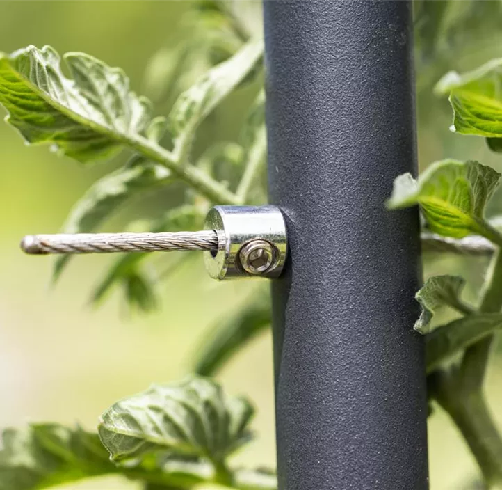 Edelstahlseil Rankhilfe