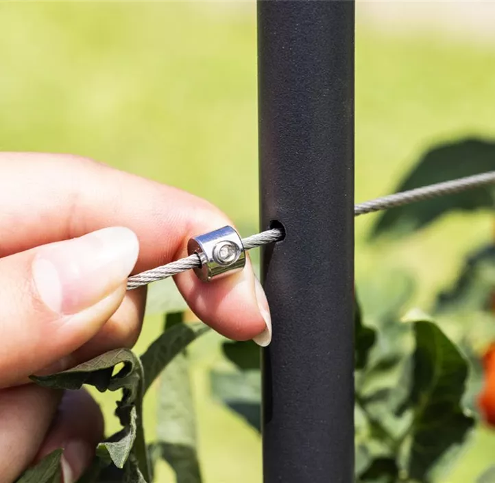 Edelstahlseil Rankhilfe