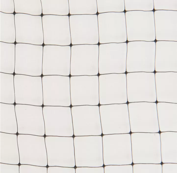 Fruchtschutz-Netz Ortonet gegen Vogelfraß