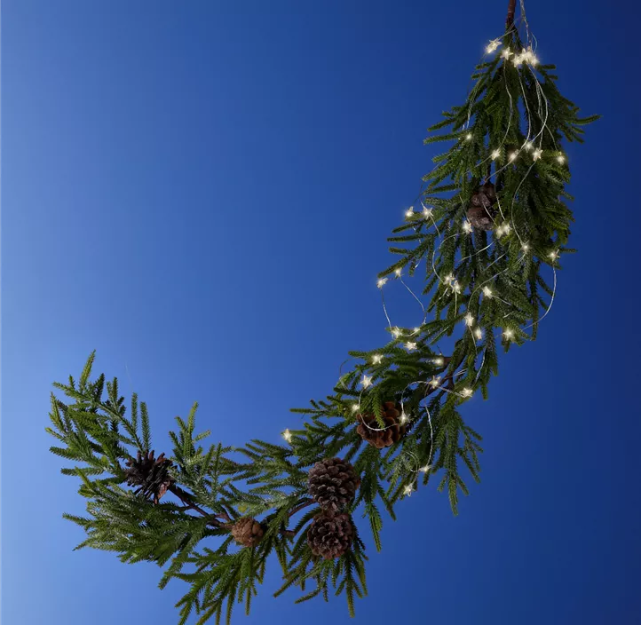 LED Micro Bündel Stern