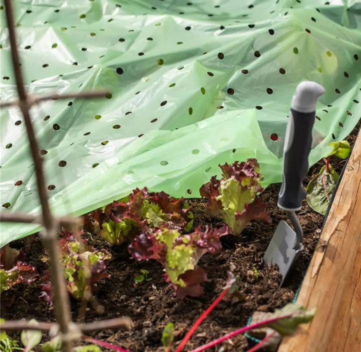 ÖKO Frühbeet Folie
