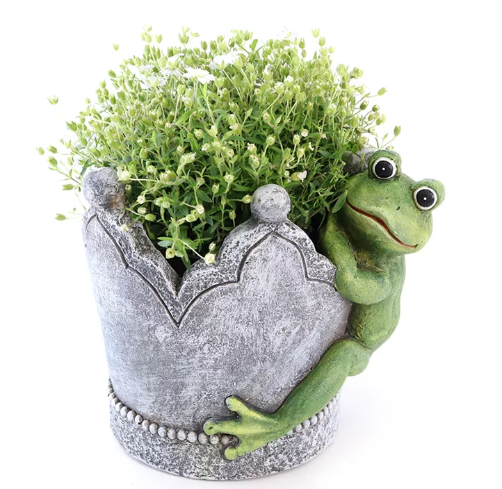 Pflanztopf Krone mit Frosch
