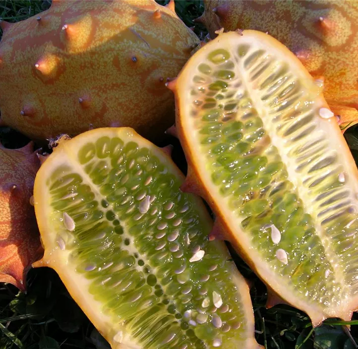 Kiwano