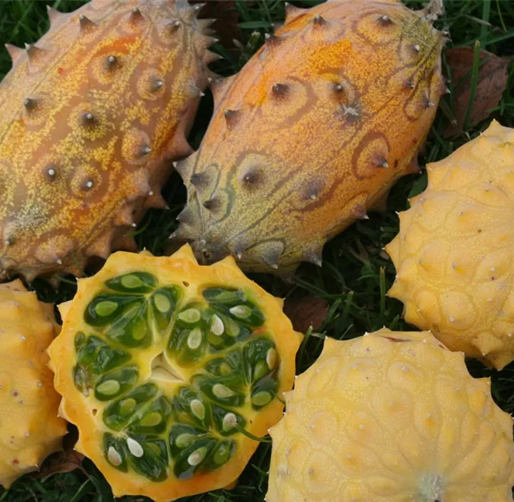 Kiwano