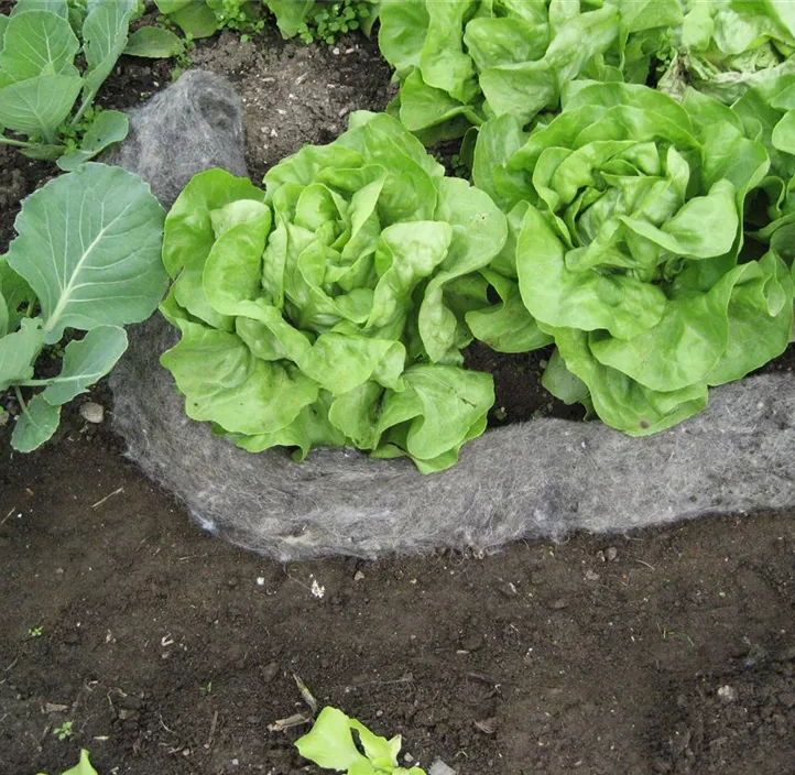 Erdbeerschutzmatte/Schneckenbremse