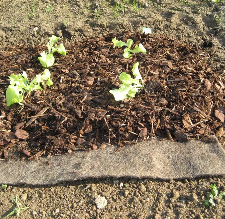 Unkraut-Mulchmatte
