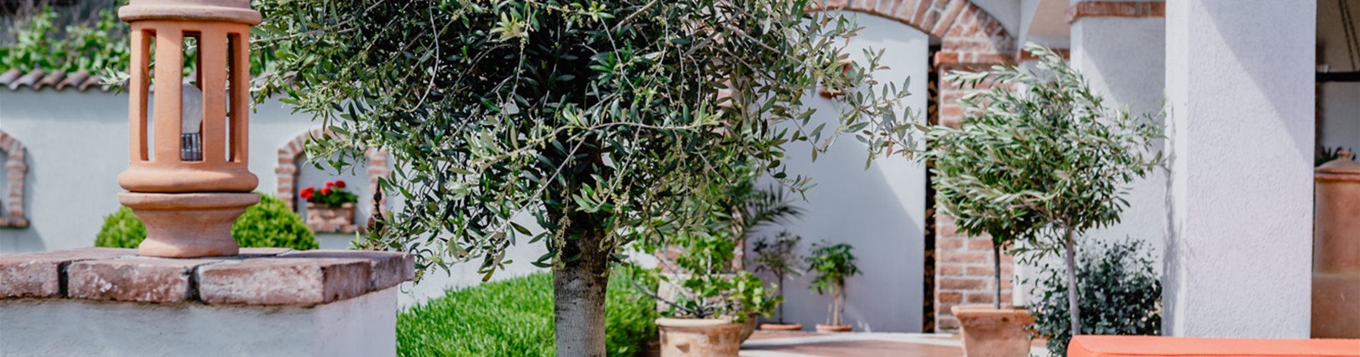 Hitzeprofis auf Balkon und Terrasse Hitzeprofis auf Balkon und Terrasse