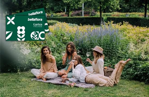 Exklusive Preisvorteile.jpg