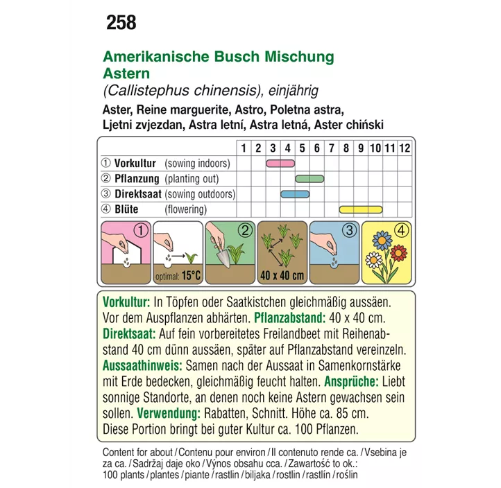  Amerikanische Buschaster Mischung