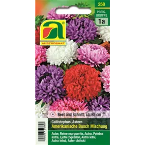  Amerikanische Buschaster Mischung