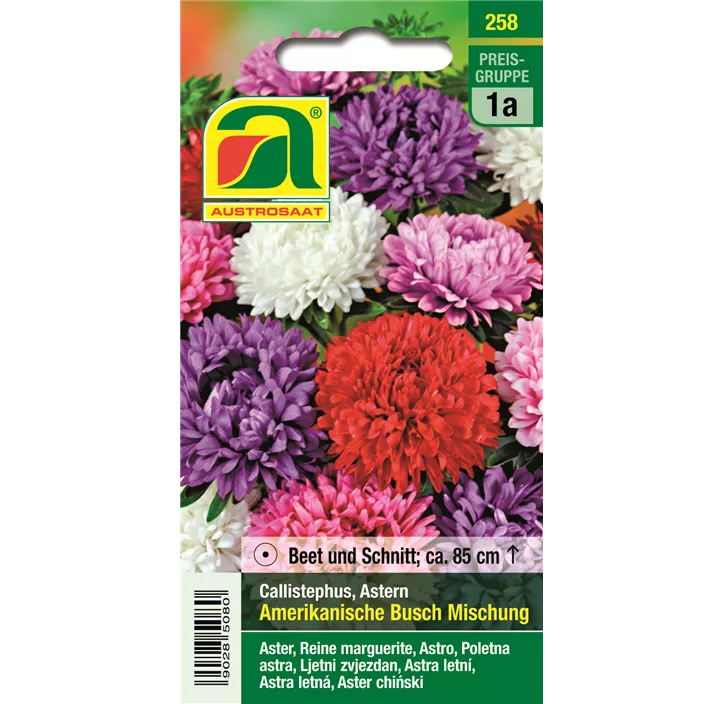  Amerikanische Buschaster Mischung